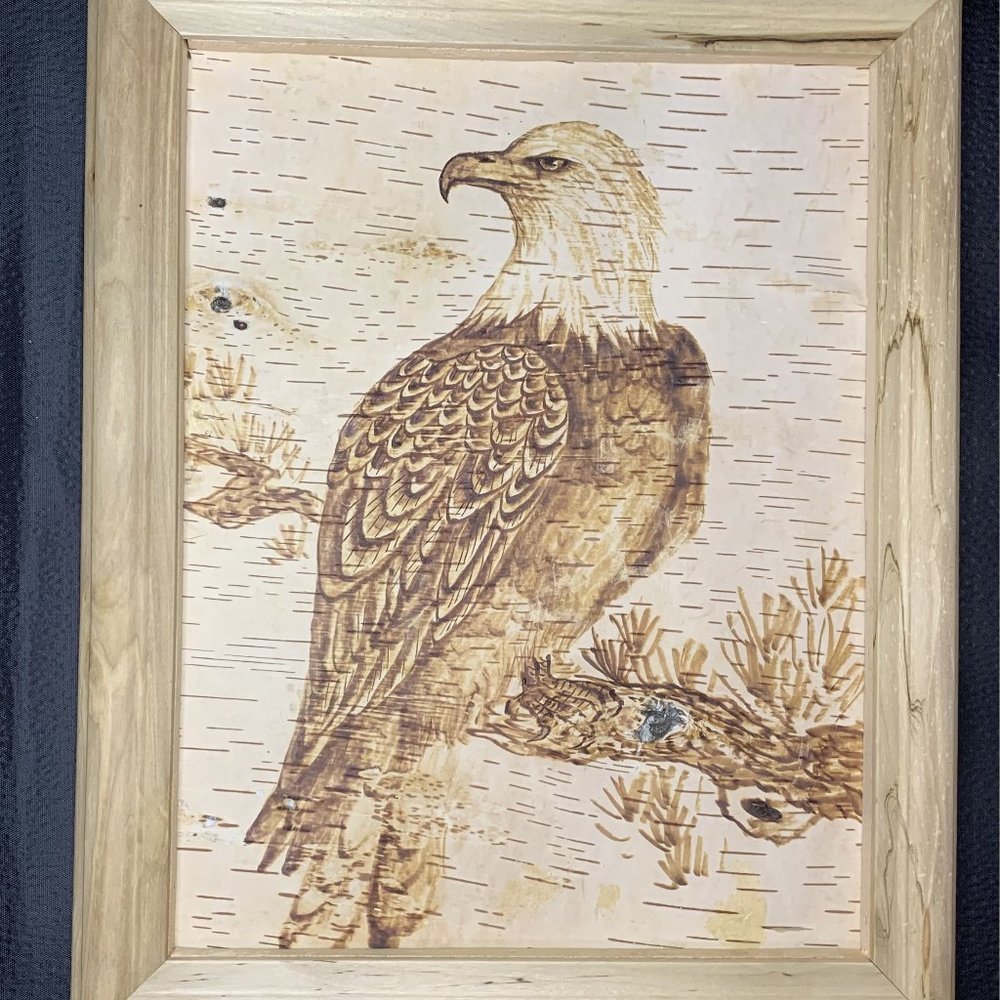 Handmade Birch Bark Wood Burning (Pyrography) - The American Eagle on the tree